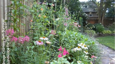CANCELLED: UW Botanic Gardens: Landscape for Life - Sustainable Home Gardening