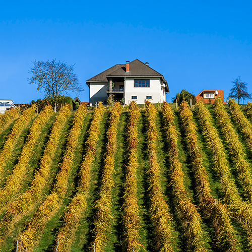 Deutschland Entkorkt: Uncorking Germany’s Best