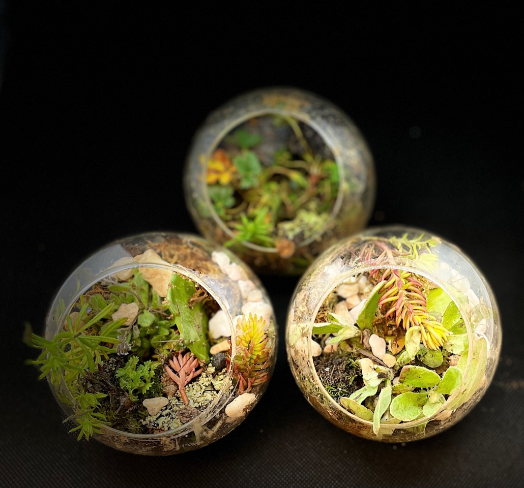 Bio Bottles with Mountain Makers