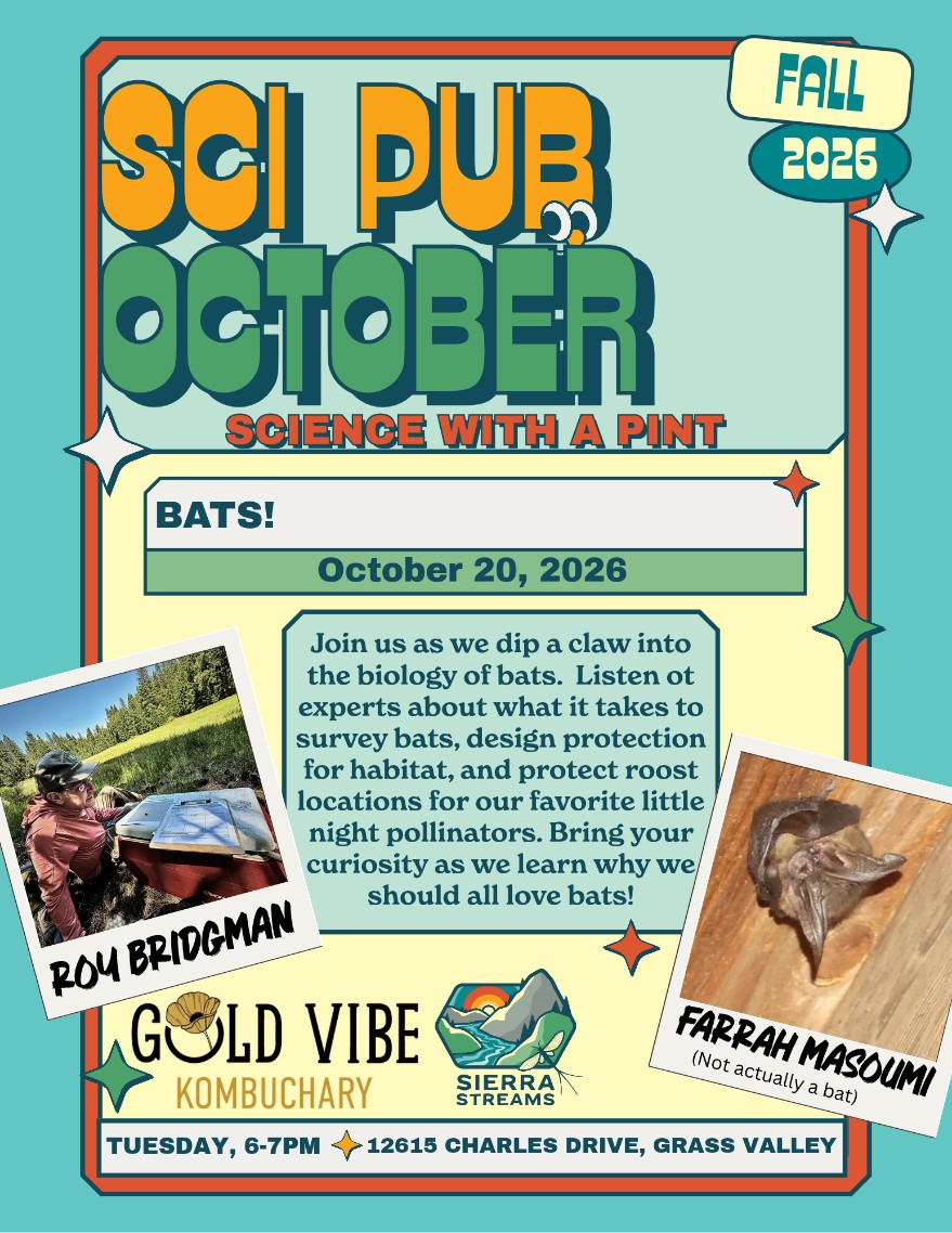 Sci Pub - Bats!