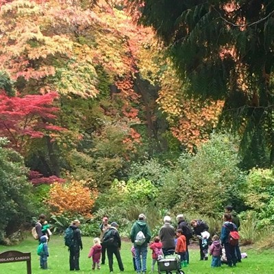 SOLD OUT - Family Nature Class: Falling Leaves