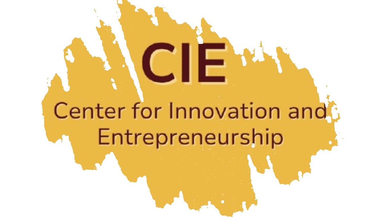 CIE Sponsored Wix Webinar