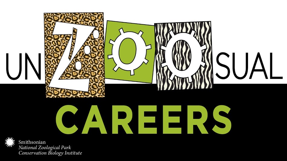 UnZOOsual Careers