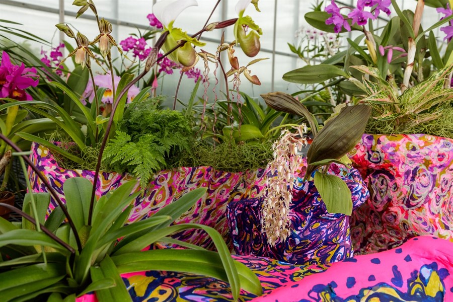 Expert is In - The Future of Orchids Exhibit