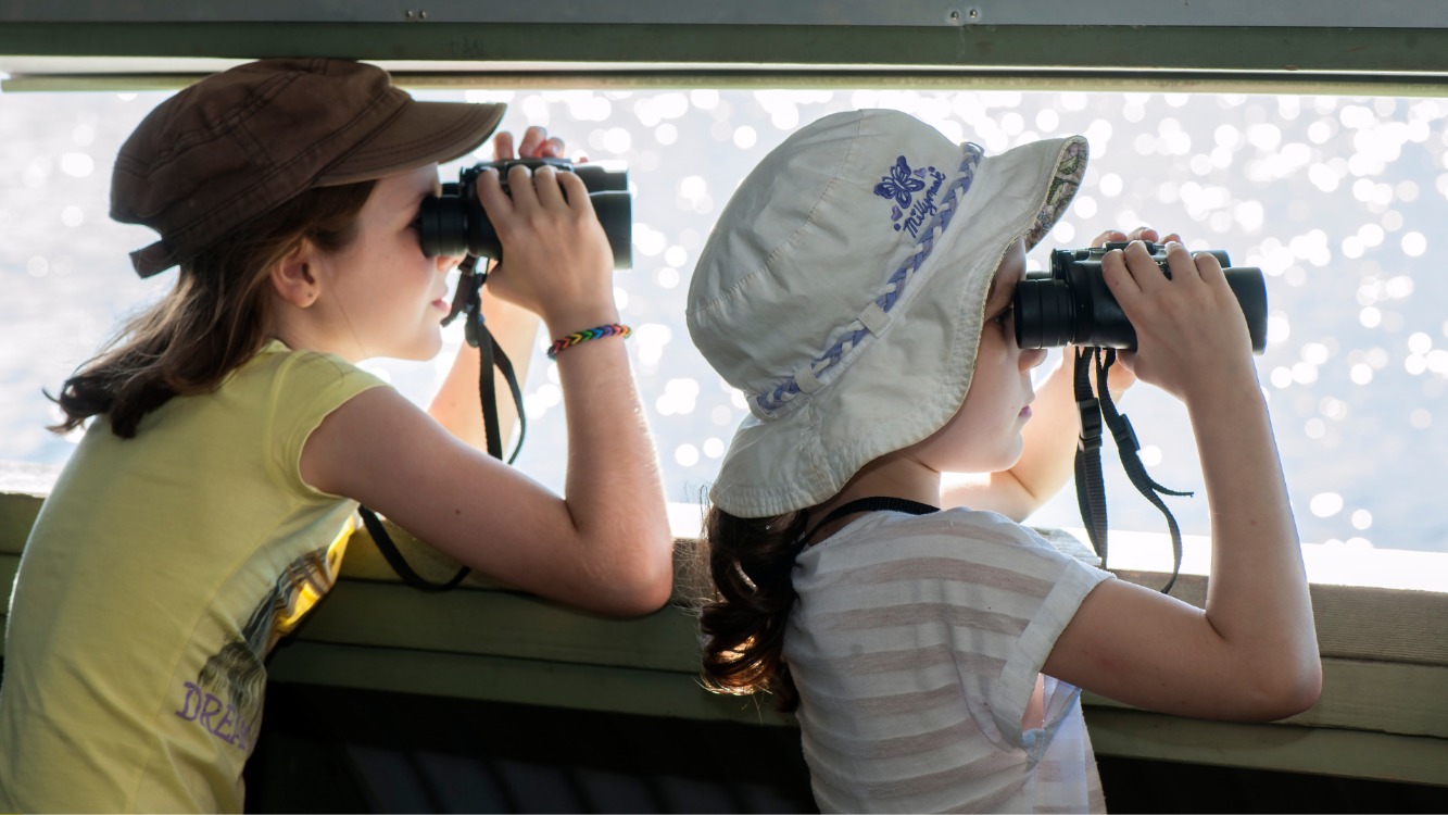 Junior Explorers: iNaturalist (9+ years)