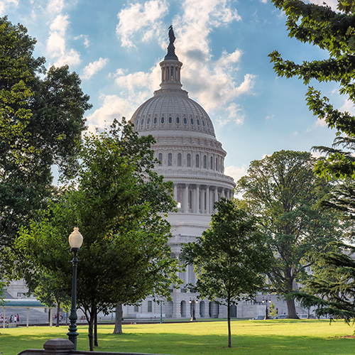 The U.S. Capitol Grounds and Arboretum