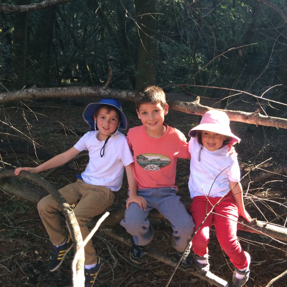 CANCELLED - Family Walk: Indian Tree CANCELLED - Family Walk: Indian Tree