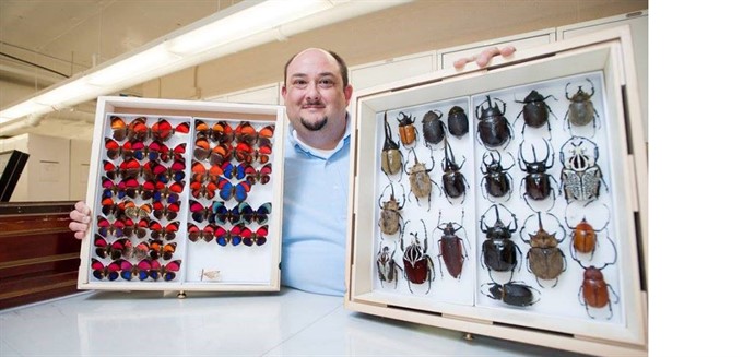 Beetle Adaptations for Survival with Floyd Shockley