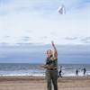 Kites n' Kites Kites n' Kites