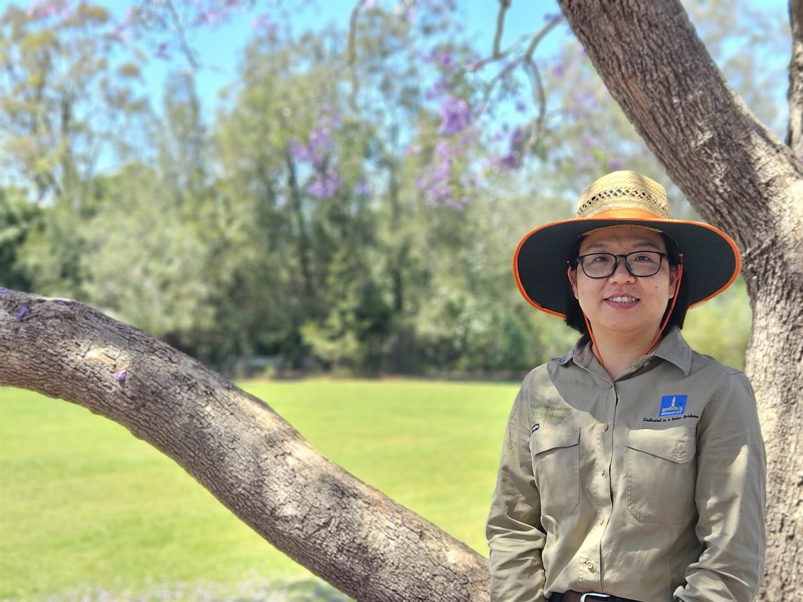 Volunteer Bushcare Working Bee - Glenella Street Park Bushcare Group