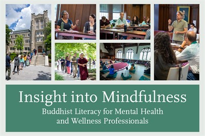 Insight Into Mindfulness: Buddhist Literacy for Mental Health and Wellness Professionals