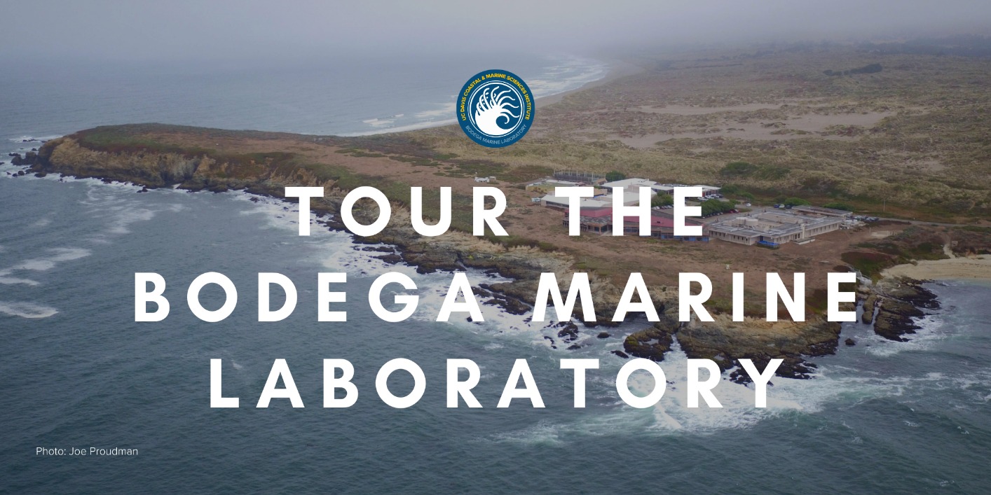 Public Tours of Bodega Marine Laboratory