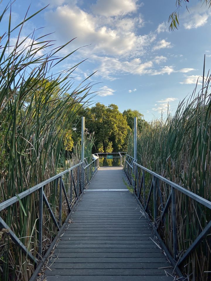 Outdoor Academy: Celebrating Wetlands (morning class)