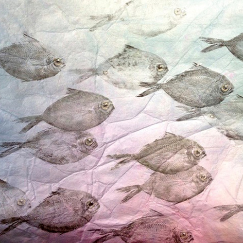 Gyotaku: The Japanese Art of Printing with Fish