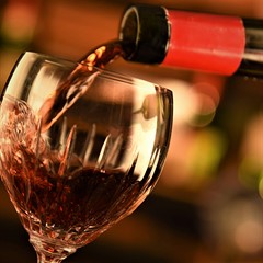 Wines of Catalonia