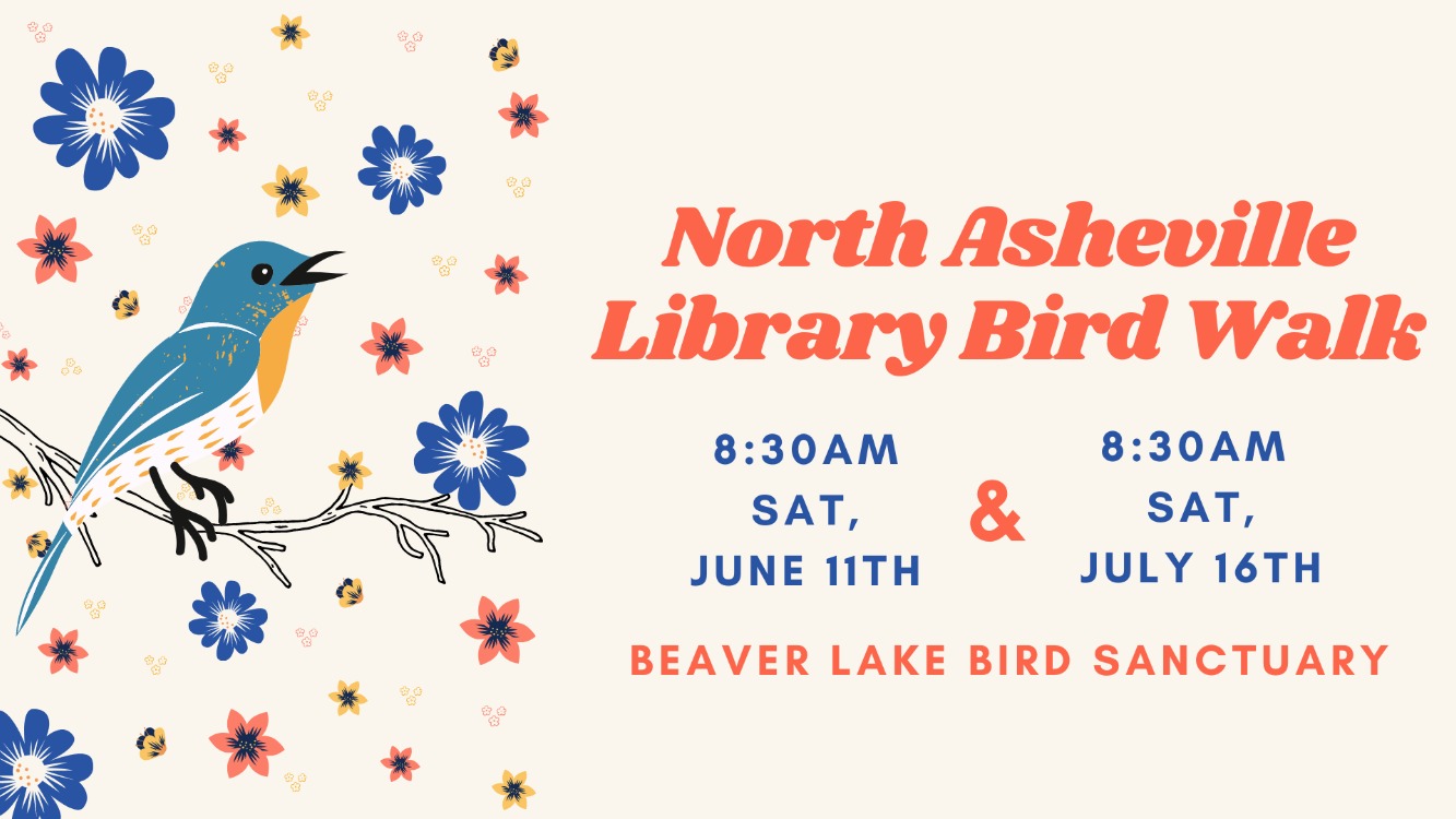 North Asheville Library Bird Walk