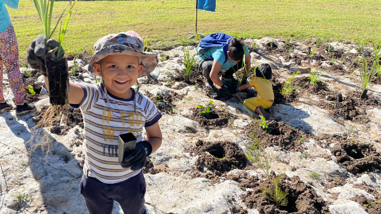 Volunteer Bushcare Working Bee - Yeronga Bushcare Group