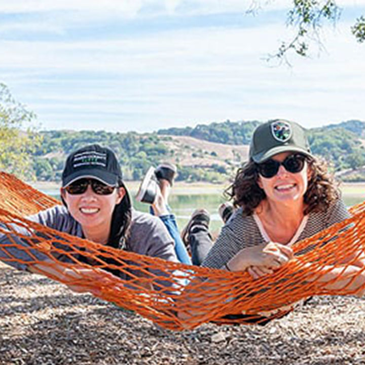 Balsa Bird Gliders Balsa Bird Gliders