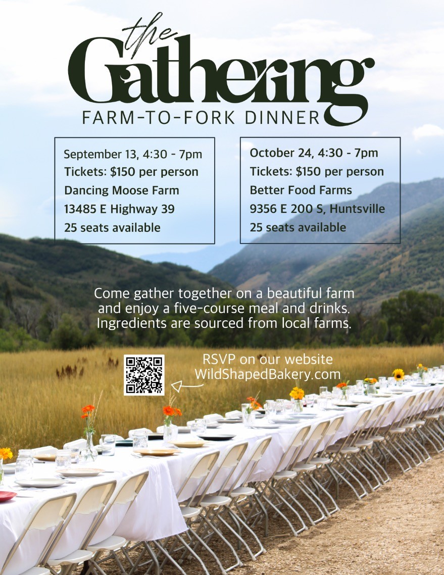 The Gathering