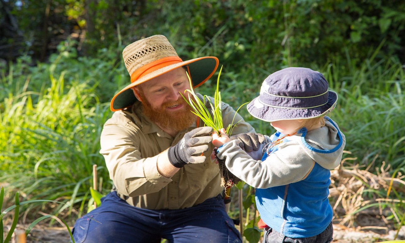 Volunteer Bushcare Working Bee - Friends Of Sherwood Arboretum