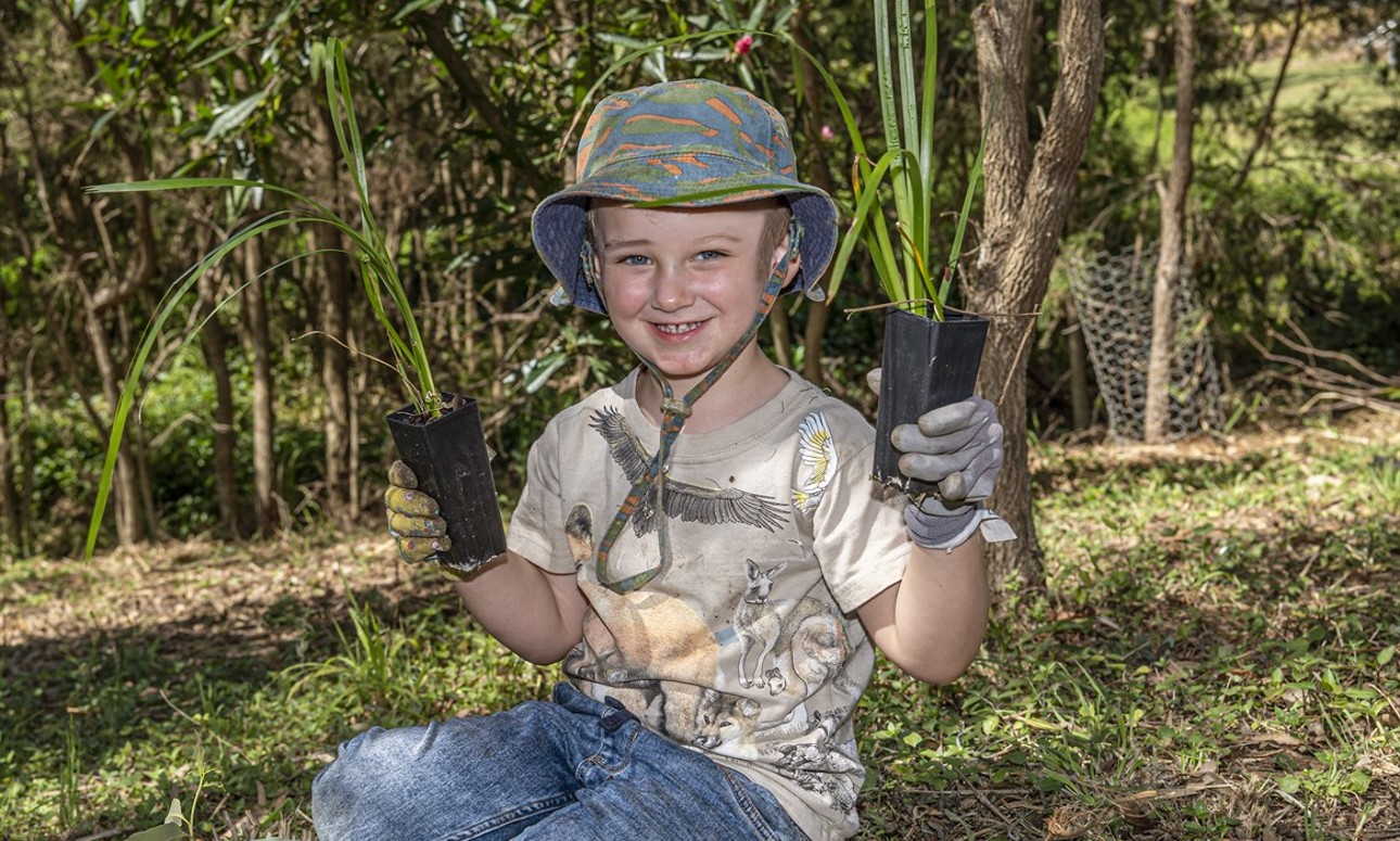 Volunteer Bushcare Working Bee - Burns Parade Bushcare Group