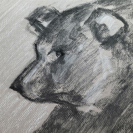 Introduction to Charcoal Drawing
