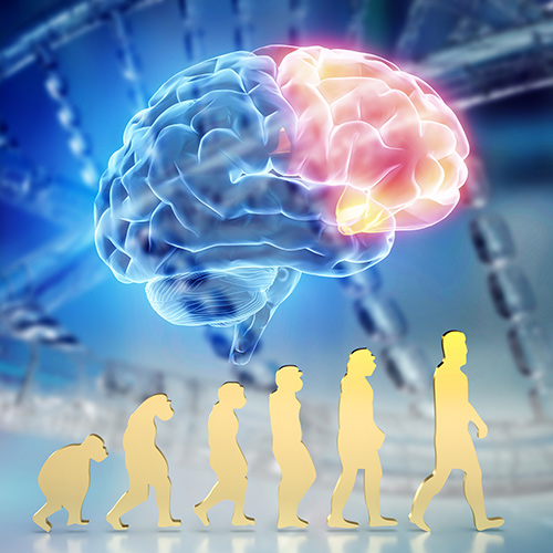 The Science of Free Will
