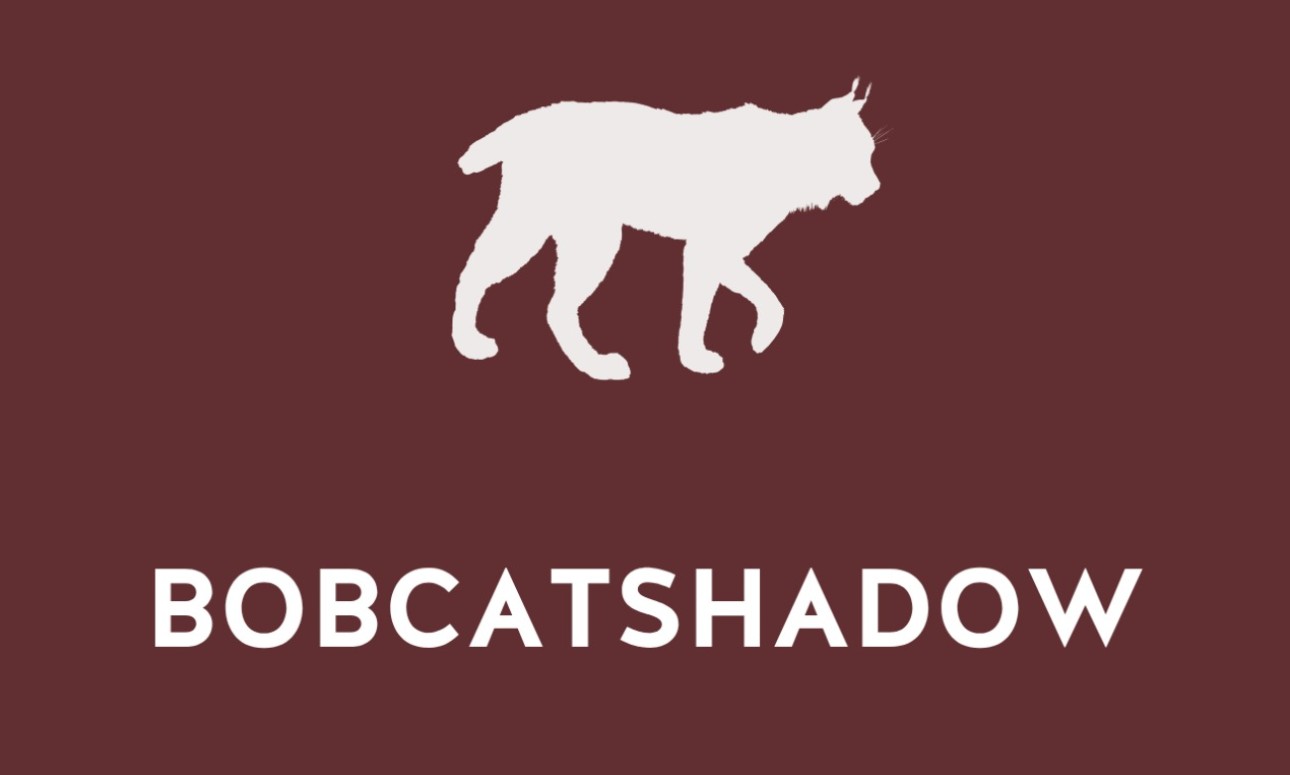 BOBCATshadow Information Session