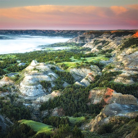 Theodore Roosevelt's North Dakota: Badlands, Bison, and the Making of a Conservationist