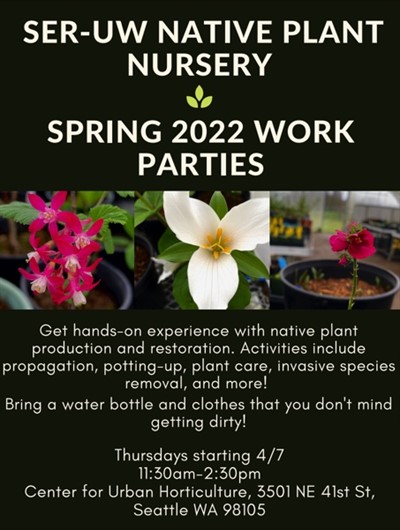 Native Plant Nursery volunteer work party