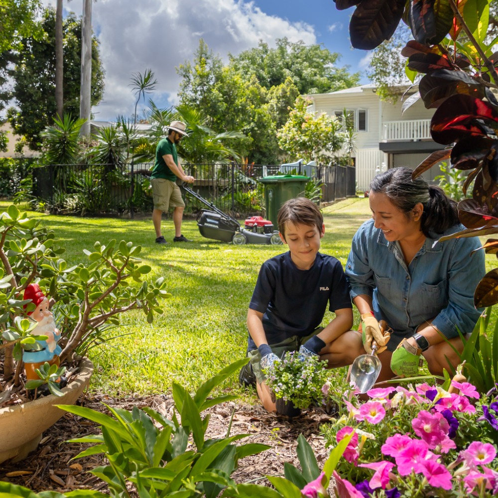Learn about your new green waste recycling bin - Kenmore