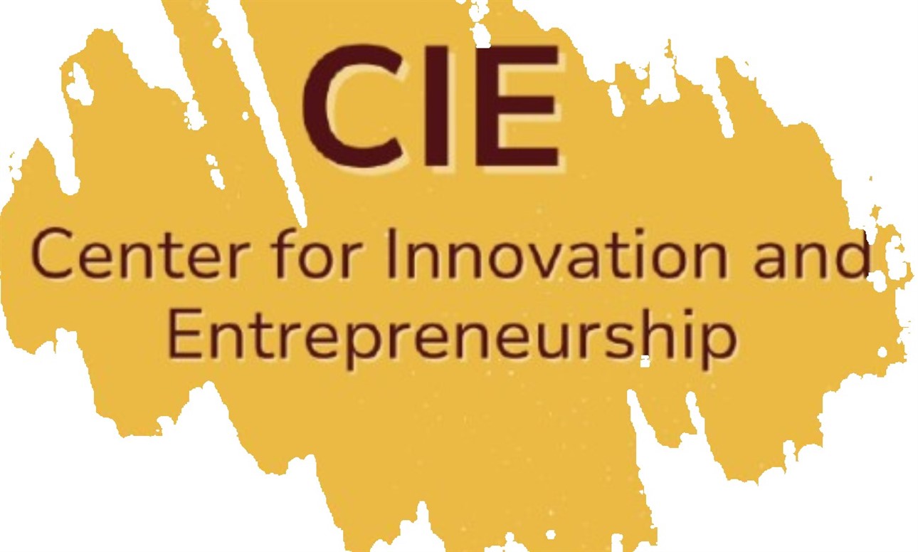 CIE Wednesday Workshop - Marketing -  Make your Business Shine with Anna Kaic, CIE Marketing Strategist