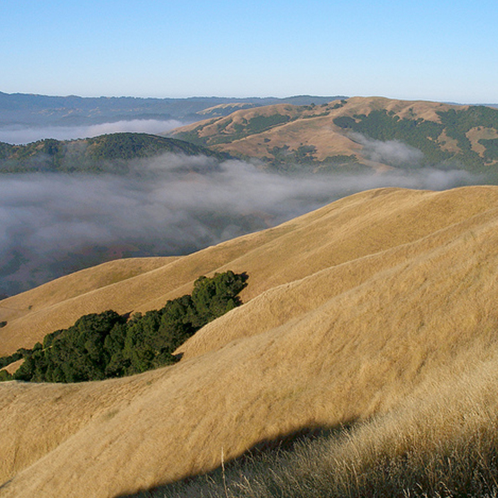 Loma Alta Evening Hike