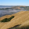 Hike and Chi Gong