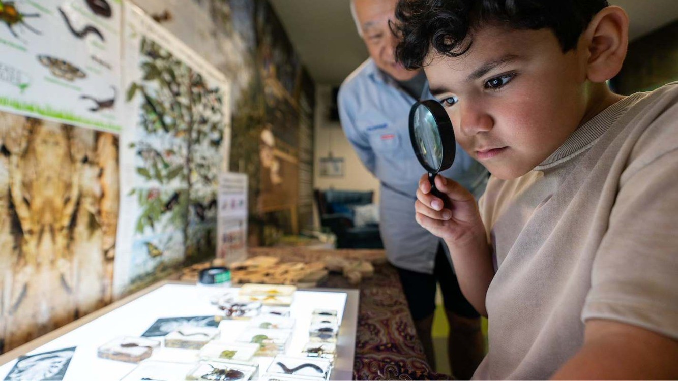 Junior Explorers: iNaturalist