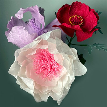 Crepe Paper Flowers: Cosmos, Peony, and Iris