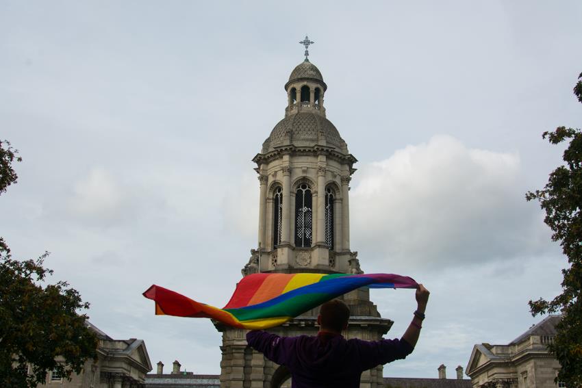 Diversity and Brain Health: Perspectives from the LGBT+ Community in Ireland