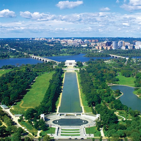 City of Trees: Washington, D.C.