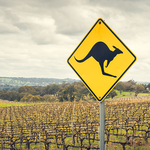 Amazing Australia