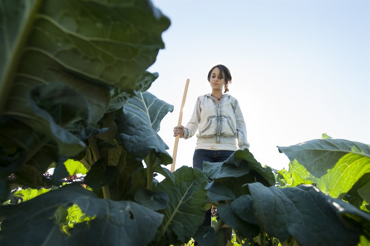 Forum: UC Davis Student Farm