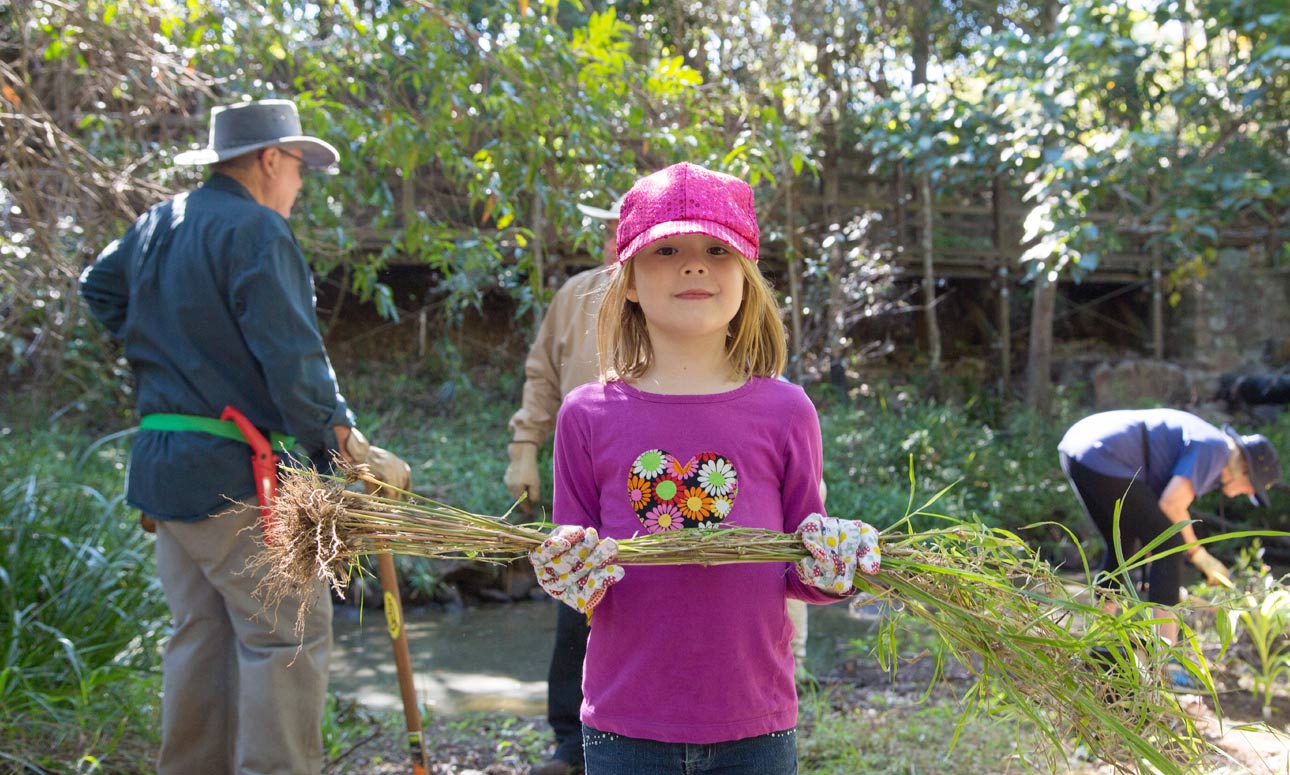 Introduction to permaculture in suburbia