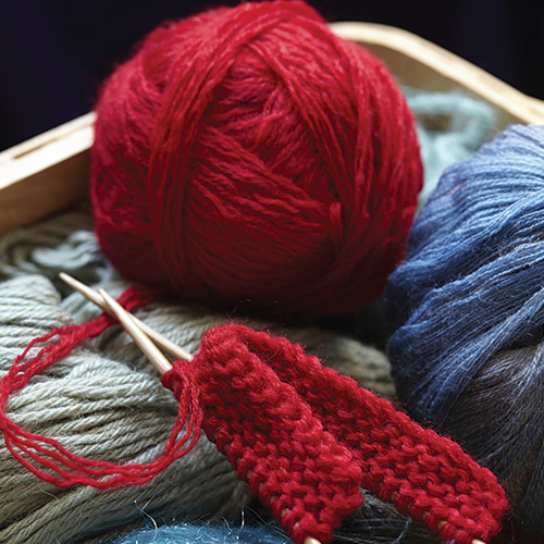 Knitting for Beginners: Learning the Basics - In Person