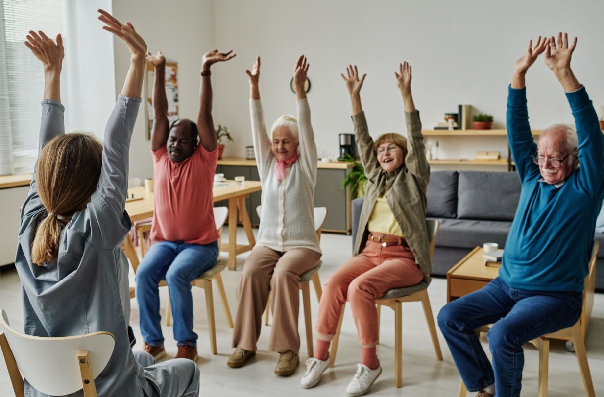 senior exercise chair strength
