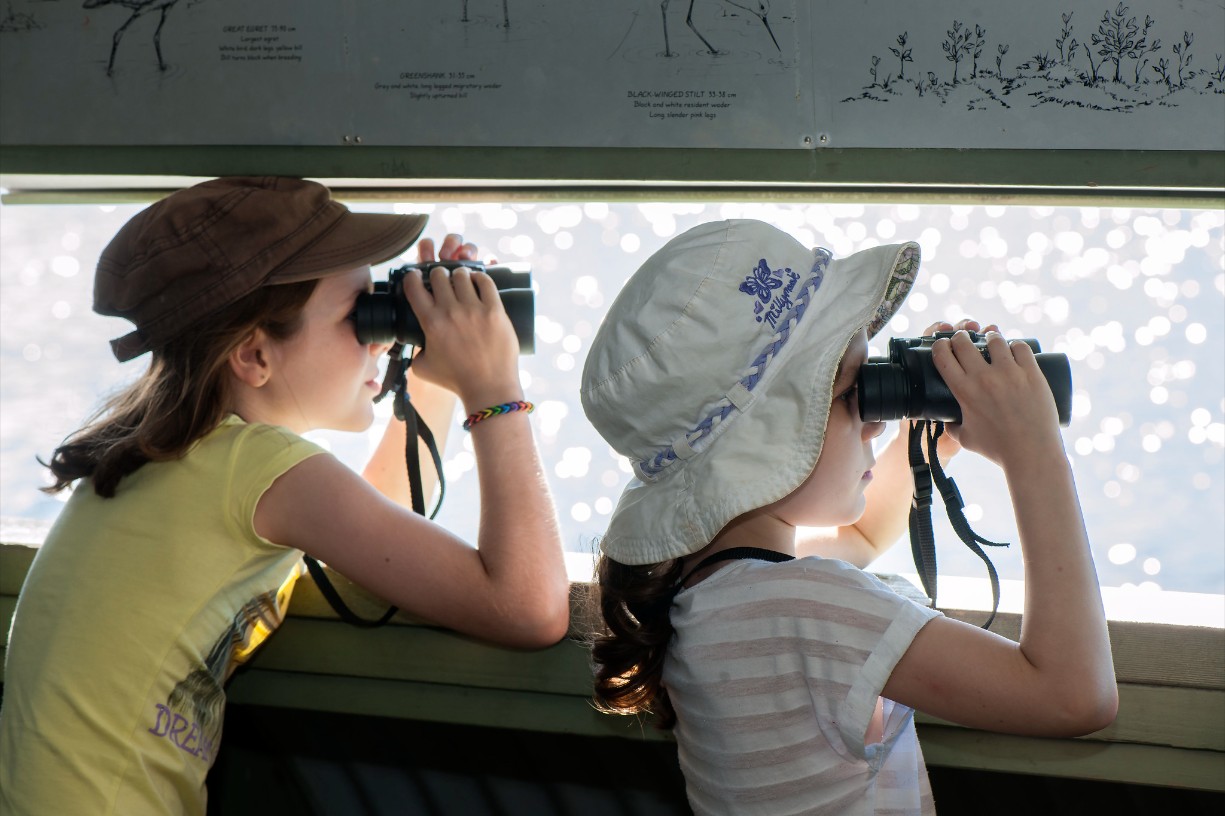 Bush Kindy: National Bird Week