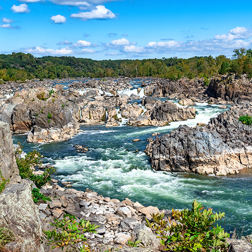 A Journey Through the Potomac Gorge
