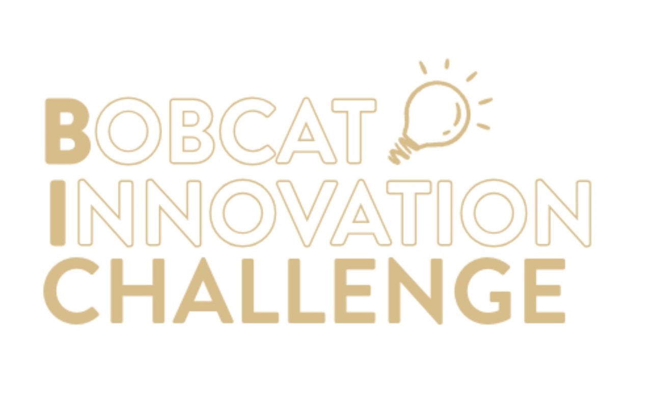 BIC Workshop: CIE Resources