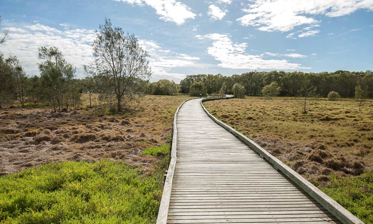 Guided walk of the Billai Dhagun circuit