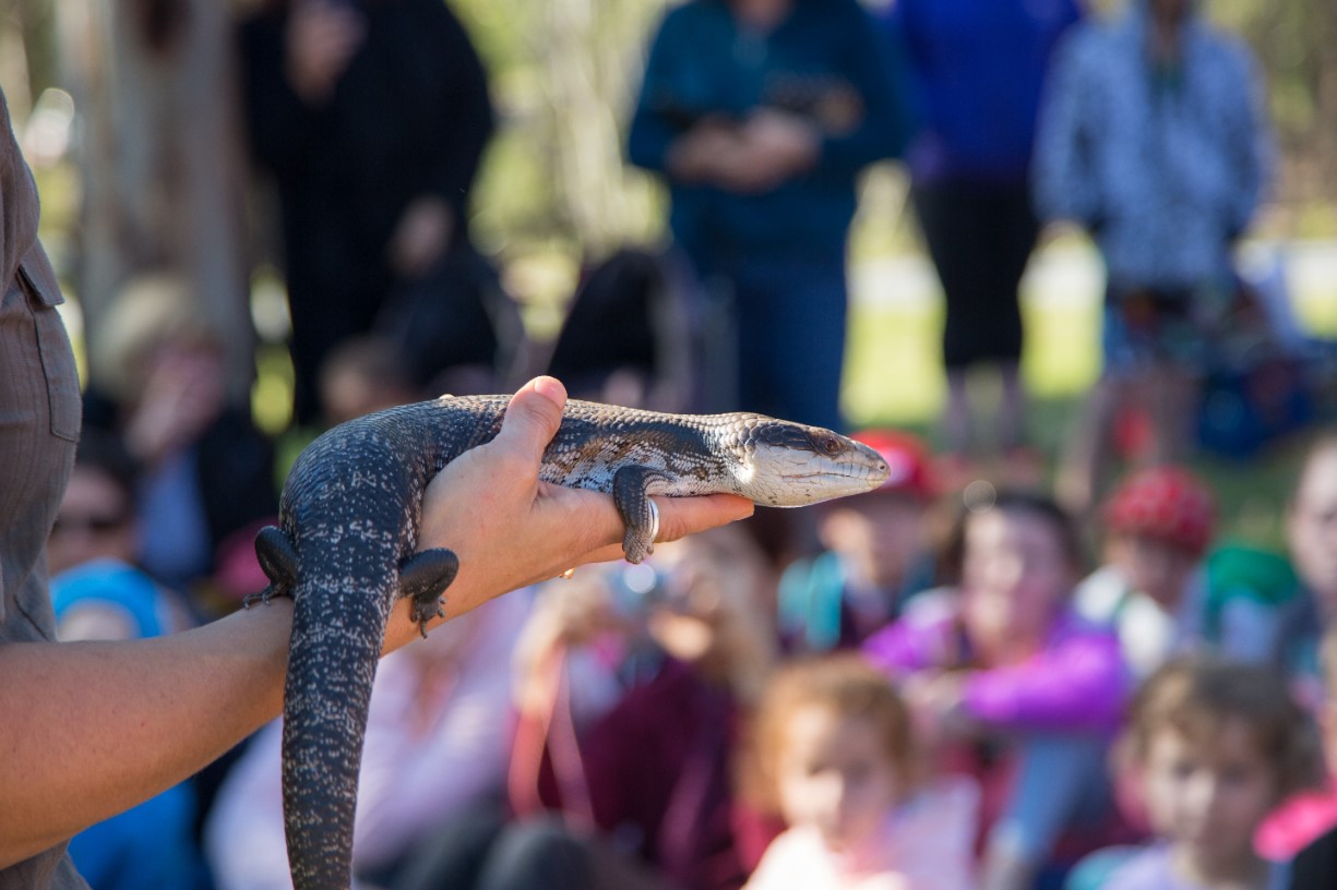 Bush Kindy - World Wildlife Day