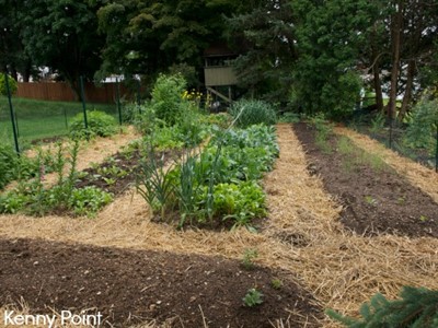FULL - UW Botanic Gardens: Intensive Vegetable Gardening