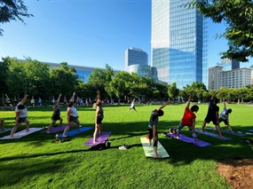 International Yoga Day